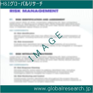 グローバルリサーチ調査レポートのイメージ
